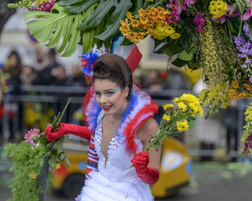 Bataille des fleurs